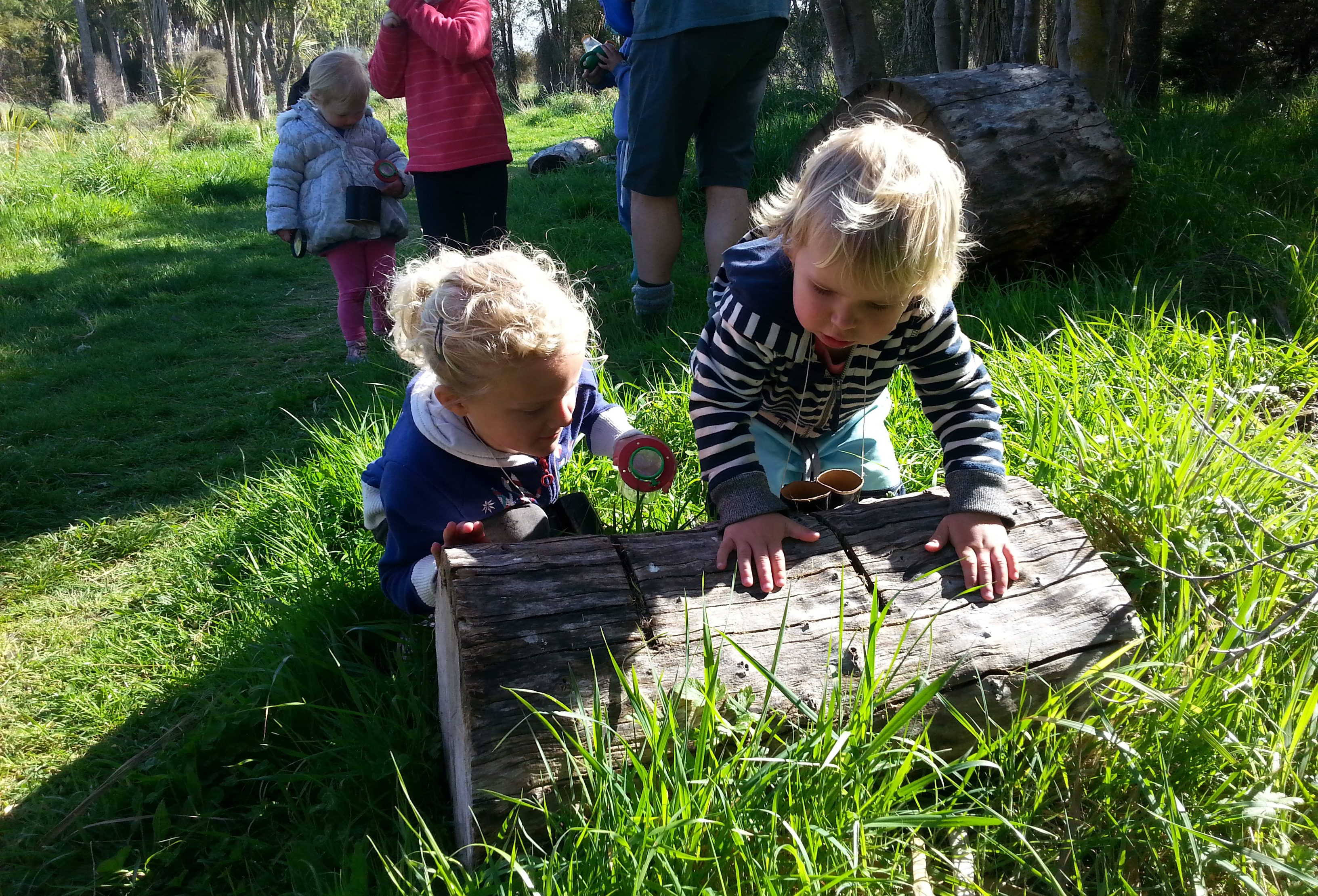 Tree Climbing and Health and Safety - Little Kiwis Nature Play