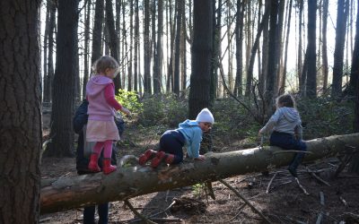 Parent Perspective: How to be a Nature Play Advocate