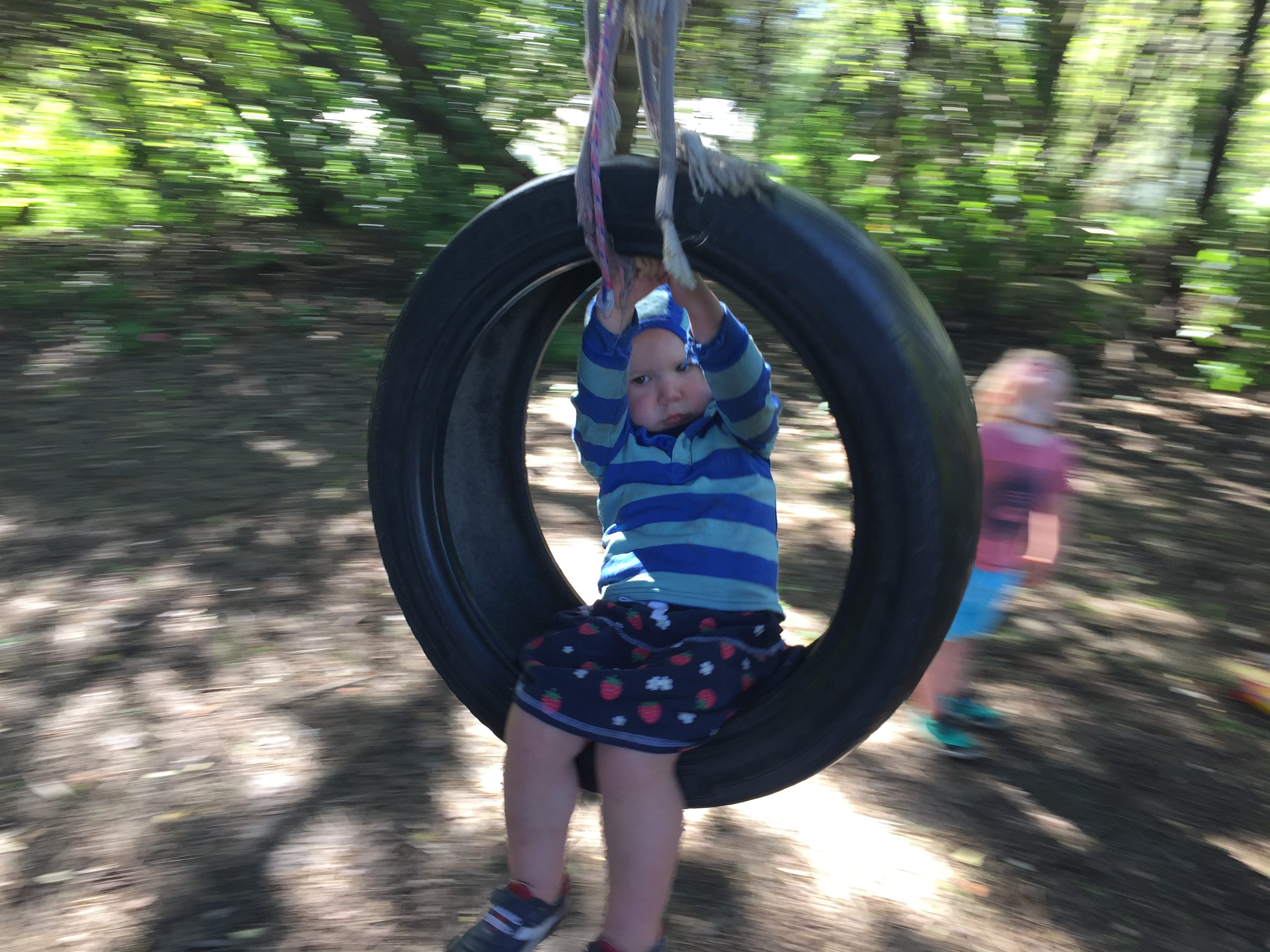 Tree Climbing and Health and Safety - Little Kiwis Nature Play