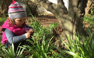 The NZ Makeover of Nature Education