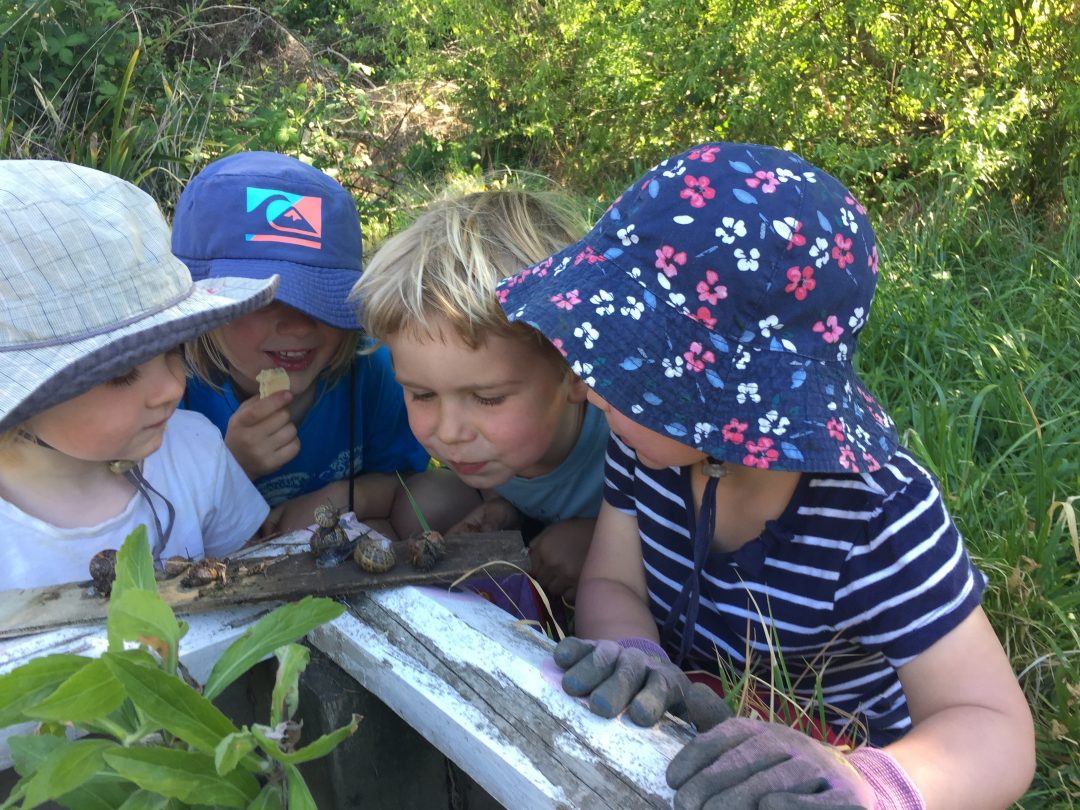 5 Top Tips for Teaching in Nature - Little Kiwis Nature Play