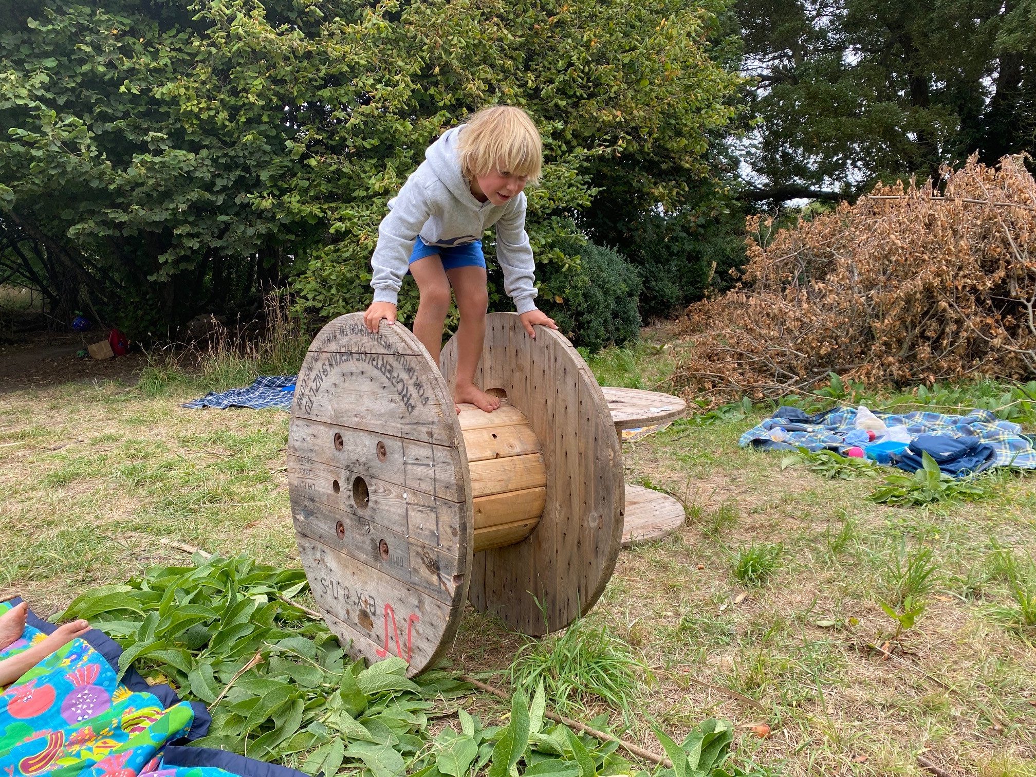 Tree Climbing and Health and Safety - Little Kiwis Nature Play